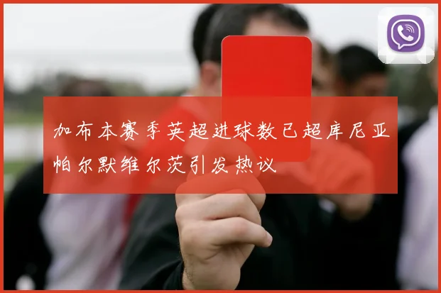 加布本赛季英超进球数已超库尼亚帕尔默维尔茨引发热议